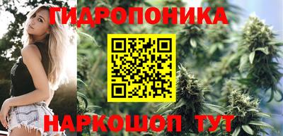 прущие крисы Нягань