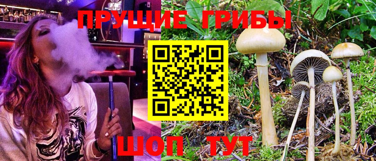 Рузаевка  Галлюциногенные грибы мухоморы  Вход с VPN 